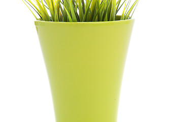 Image showing Colourful flowerpot with green grass