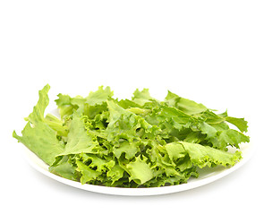 Image showing lettuce