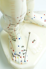 Image showing acupuncture demonstration on model 