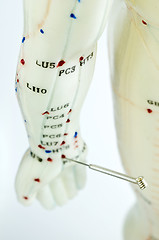 Image showing acupuncture demonstration on model 