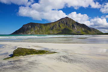 Image showing Arctic beach