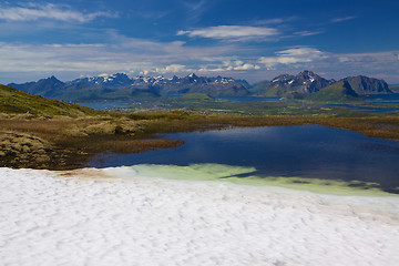 Image showing Summer in the arctics