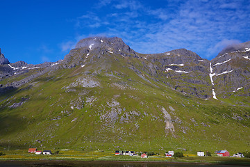 Image showing Arctic in summer