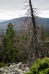 Image showing Mountain landscapes in national park Taganai