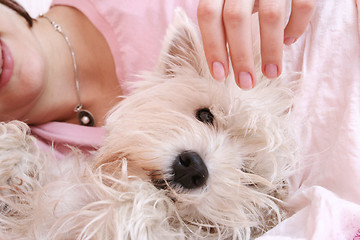 Image showing Dog sleeping on bed 