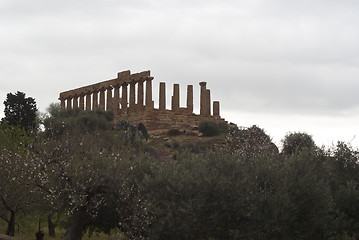 Image showing Valley of the Temples, Agrigento