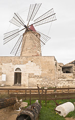 Image showing Old windmill on the salines of Trapani