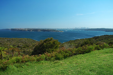 Image showing Sydney panorama