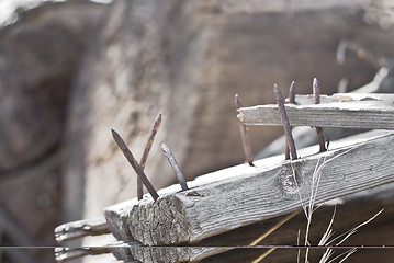 Image showing Rusty Nails in Wooden Plank