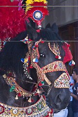 Image showing  Folkloristic parade of traditional horse-cars in Sicily 