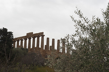 Image showing Valley of the Temples, Agrigento