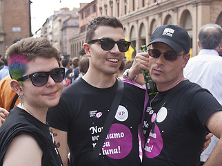 Image showing Participants at gay pride 2012 of Bologna