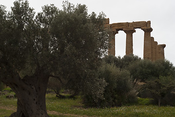 Image showing Valley of the Temples, Agrigento