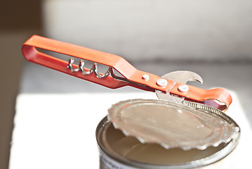 Image showing tin opener