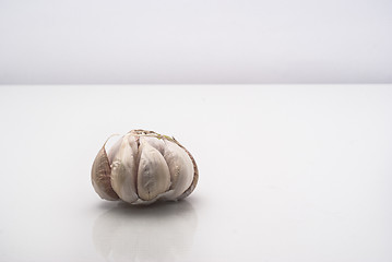 Image showing Garlic isolated on white background