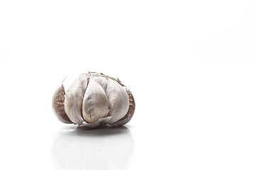 Image showing Garlic isolated on white background