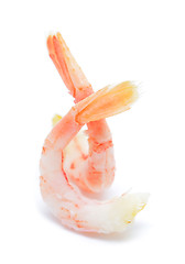 Image showing shrimps