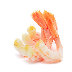 Image showing shrimps