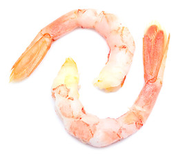 Image showing two shrimps