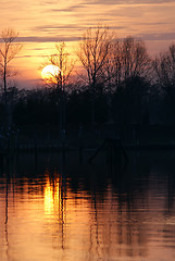 Image showing Late afternoon with orange sky and silhouetted treeline