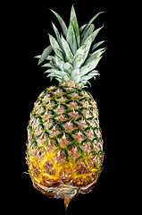 Image showing pineapple isolated on black