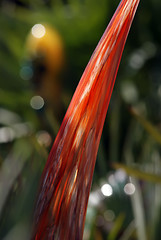 Image showing abstract orange glass art piece