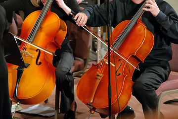 Image showing students playing on bass instrument