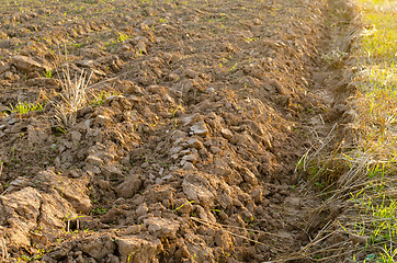 Image showing plowed field after harvest lit evening sunlight 