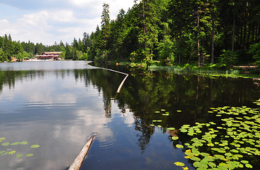 Image showing Lake Arber in Bavaria (Grosser Arbersee)