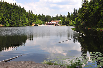 Image showing Lake Arber in Bavaria (Grosser Arbersee)