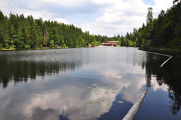 Image showing Lake Arber in Bavaria (Grosser Arbersee)
