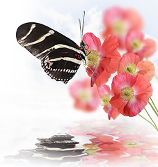 Image showing Butterfly And Flowers