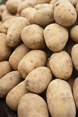 Image showing Pile of old potatoes