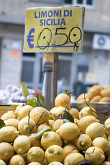 Image showing lemons of sicily for sale 