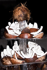Image showing fountain with pieces of coconut