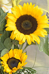 Image showing bouquet of sunflowers