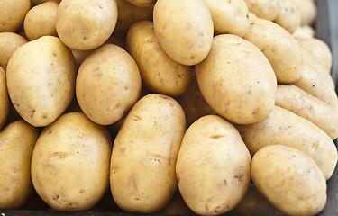 Image showing pile of new potatoes for sale