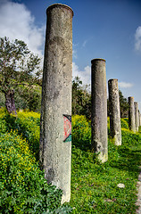 Image showing Sebastia archeology ancient ruins