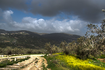 Image showing Sebastia archeology ancient ruins