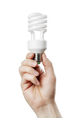 Image showing Fluorescent Bulb