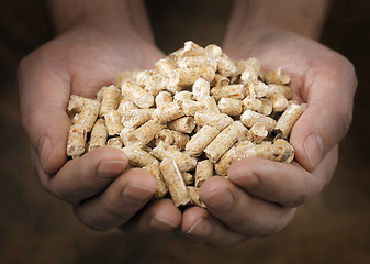 Image showing Wood Pellets