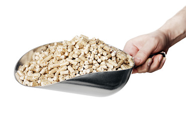 Image showing Wood Pellets