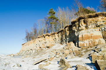 Image showing North Estonian limestone shore on a sunny winter day 