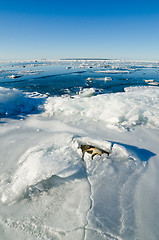 Image showing  Stones in the ice on the Baltic Sea coast 