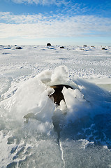 Image showing  Stones in the ice on the Baltic Sea coast 