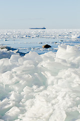 Image showing  Pile of broken ice floes on the Baltic Sea coast