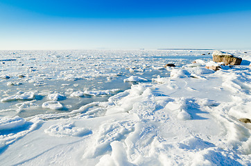 Image showing The coast of Baltic sea held down by an ice