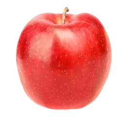 Image showing Single fresh red apple