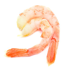 Image showing shrimps