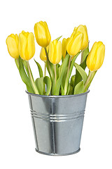 Image showing Full bucket of yellow tulips